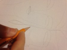 Starting my sketch...