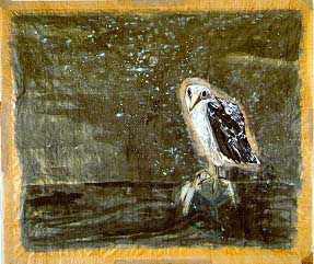 Bird and the Sea- Morris Graves