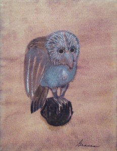 Owl on Globe, c. 1965. Tempera on Paper- Morris Graves