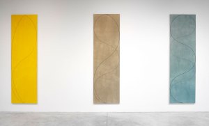 Column Paintings- Robert Mangold
