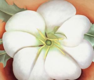 White Flower on Red Earth- Georgia O'Keeffe