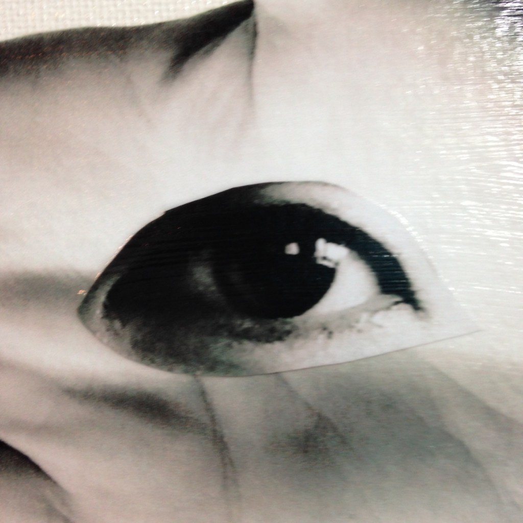 Close-Up 1 Eye See- Tribute to Herbert Bayer Linda Cleary 2014 Mixed Media/Acrylic on Canvas