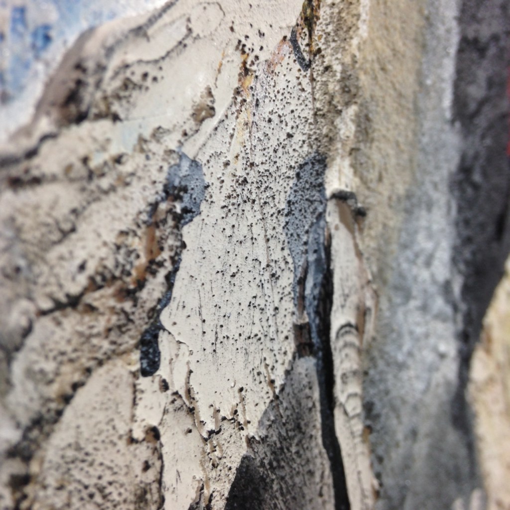 Close-Up 1 Cave Art- Tribute to Jane Frank Linda Cleary 2014 Mixed Media on Canvas