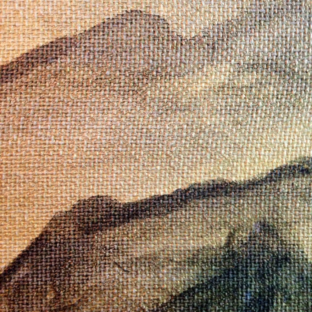 Close-Up 3 Fuji- Tribute to Kishi Ganku Linda Cleary 2014 Acrylic on Canvas