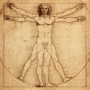 Vitruvian Man- Leonardo da Vinci