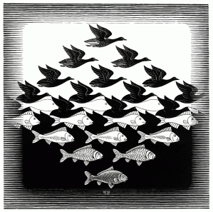 Sky Water- M.C. Escher