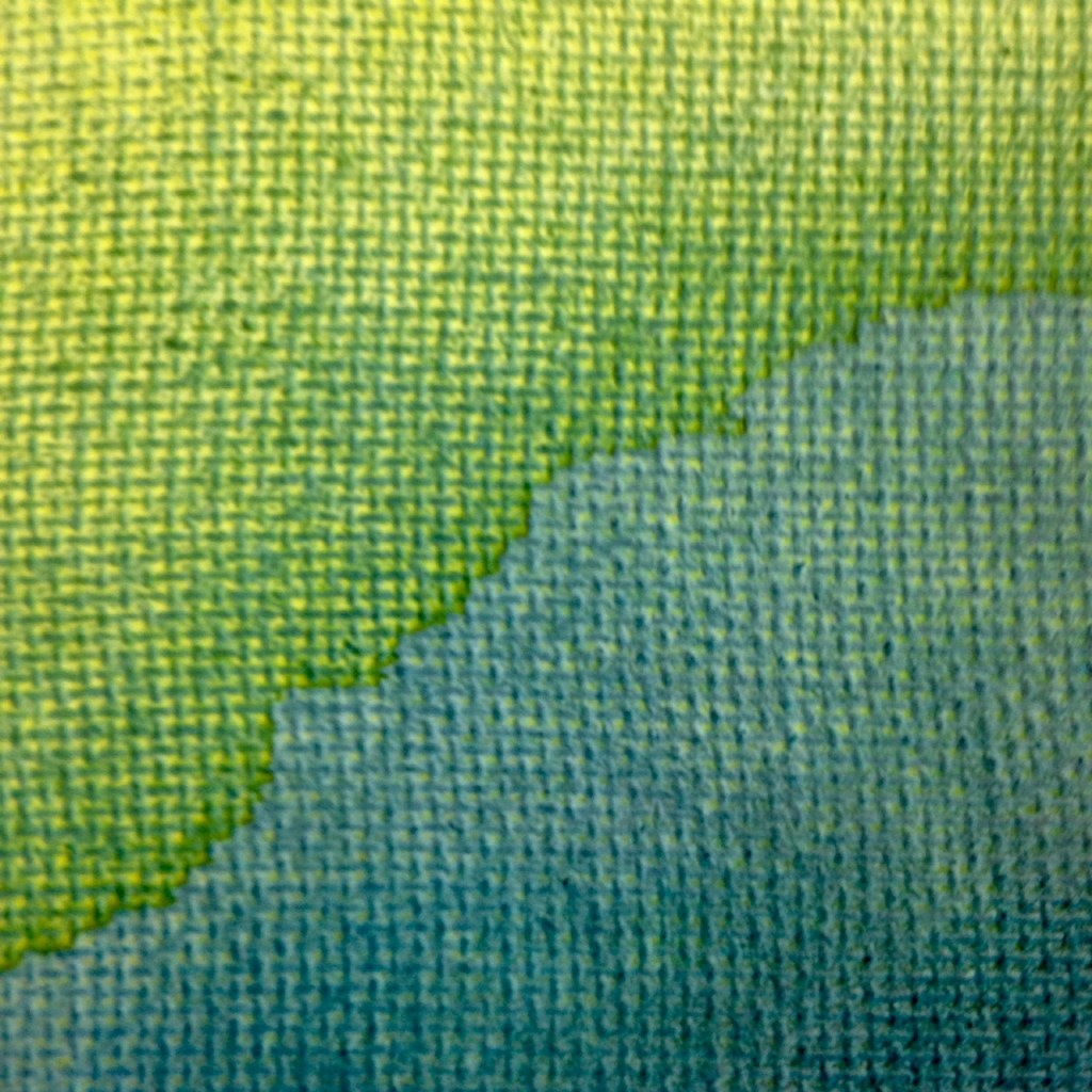 Close-Up 2 Stained- Tribute to Vivian Springford Linda Cleary 2014 Acrylic on Canvas